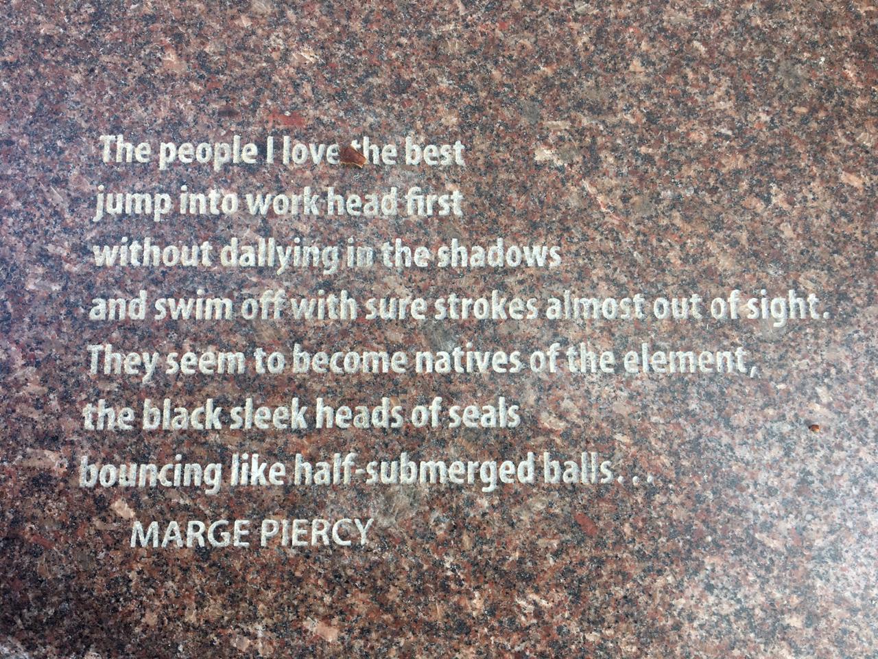 PHOTO-2018-10-27-12-46-29 - Copy